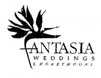 FANTASIA WEDDINGS & HONEYMOONS