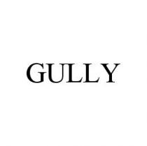GULLY