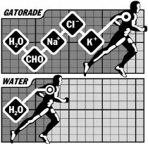 GATORADE WATER H2O CHO NA+ CI- K+ H2O