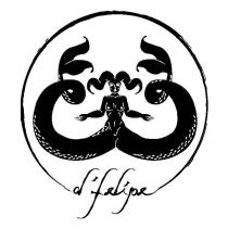 D'FELIPE
