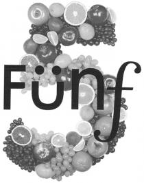 FNF 5