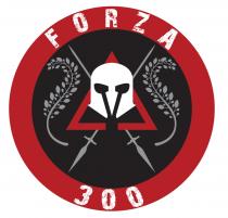 FORZA 300