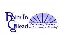 BALM IN GILEAD COMMUNITY SERVICES 