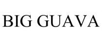 BIG GUAVA