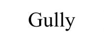 GULLY