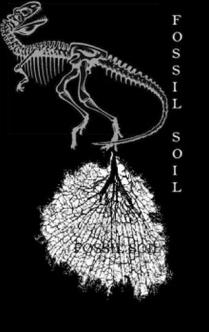 FOSSIL SOIL