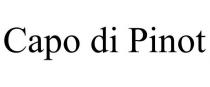 CAPO DI PINOT