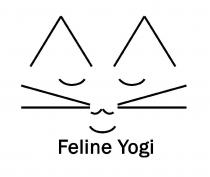 FELINE YOGI