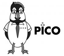 LED PICO