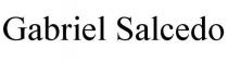 GABRIEL SALCEDO