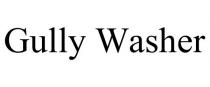 GULLY WASHER