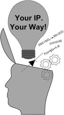 YOUR IP. YOUR WAY! 2SIC+SIO2 3SI+2CO 01010100 F(X)=2X+4DT