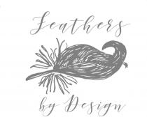FEATHERS BY DESIGN