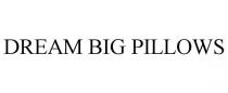 DREAM BIG PILLOWS