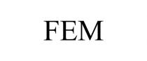 FEM