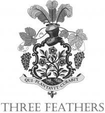 QUI PLANTAVIT CURABIT THREE FEATHERS