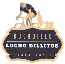 BOCADILLO LUCHO DILLITOS GUAVA PASTE
