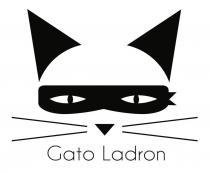 GATO LADRON