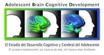ADOLESCENT BRAIN COGNITIVE DEVELOPMENT EL ESTUDIO DEL DESARROLLO COGNITIVO Y CEREBRAL DEL ADOLESCENTE EL CEREBRO ADOLESCENTE. LA CIENCIA DE HOY. UN FUTURO MS BRILLANTE.