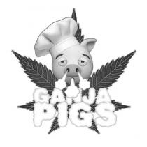 GANJA PIGS