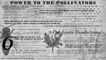 POWER TO THE POLLINATORS NATIVE AMERICAN INDIANS.. BEE DIE MAN HAS FOUR YEARS LEFT.. ALBERT EINSTEIN ECHOED THIS 