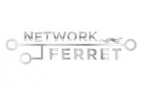 NETWORK FERRET