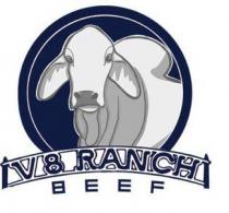 V8 RANCH BEEF