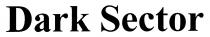Dark Sector