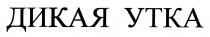 ДИКАЯ УТКА
