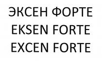 EKSEN FORTE