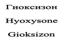 Gioksizon