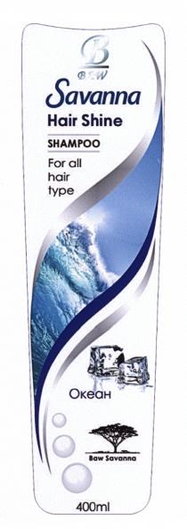 Baw Savanna Hair Shine shampoo for all hair type