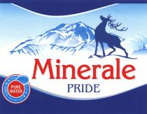 Minerale PRIDE PURE WATER MINERAL RICH WATER