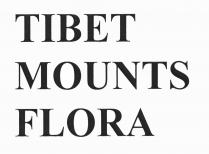 TIBET MOUNTS FLORA