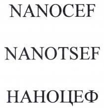 NANOTSEF