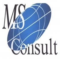 MS Consult