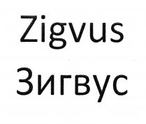 Zigvus