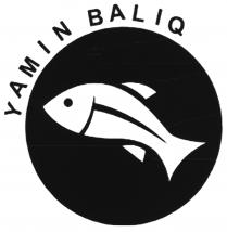 YAMIN BALIQ