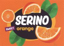 SERINO SWEET orange