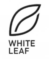 WHITE LEAF