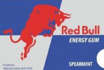 Red Bull ENERGY GUM SPEARMINT 10 pieces Vitalces body and mind