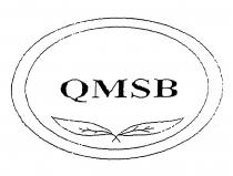 QMSB