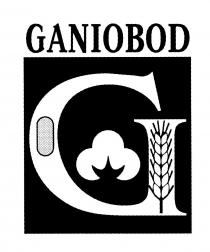 GANIOBOD G