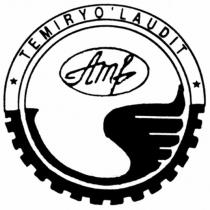 TEMIRYO'LAUDIT Amf