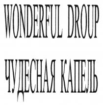 WONDERFUL DROUP