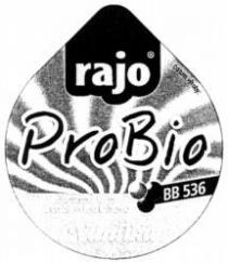 rajo ProBio BB 536