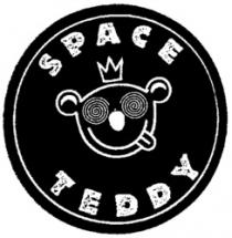 SPACE TEDDY