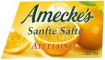 Amecke's Sanfte Säfte APFELSINE 750 ml