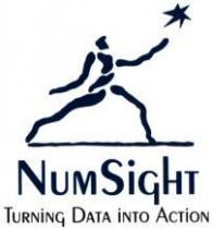 NUM SIGHT TURNING DATA INTO ACTION