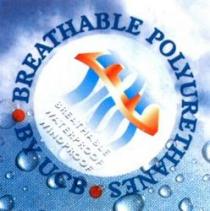 BREATHABLE POLYURETHANES BY UCB